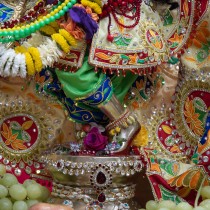 Sri Gopivallabha's Lotus Feet