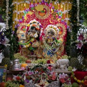 Sri Radha Gopivallabha